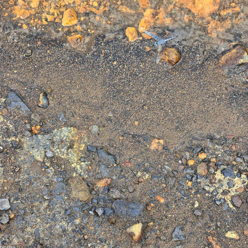 Samsung Galaxy S24 Ultra